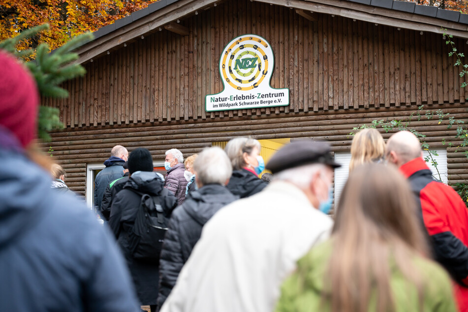 Lange Warteschlangen! Corona-Impfaktion im Wildpark überzeugt viele