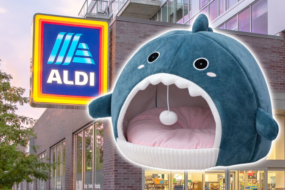 ALDI slashes prices on summer supplies - for pets and people! - on Friday, June 26
