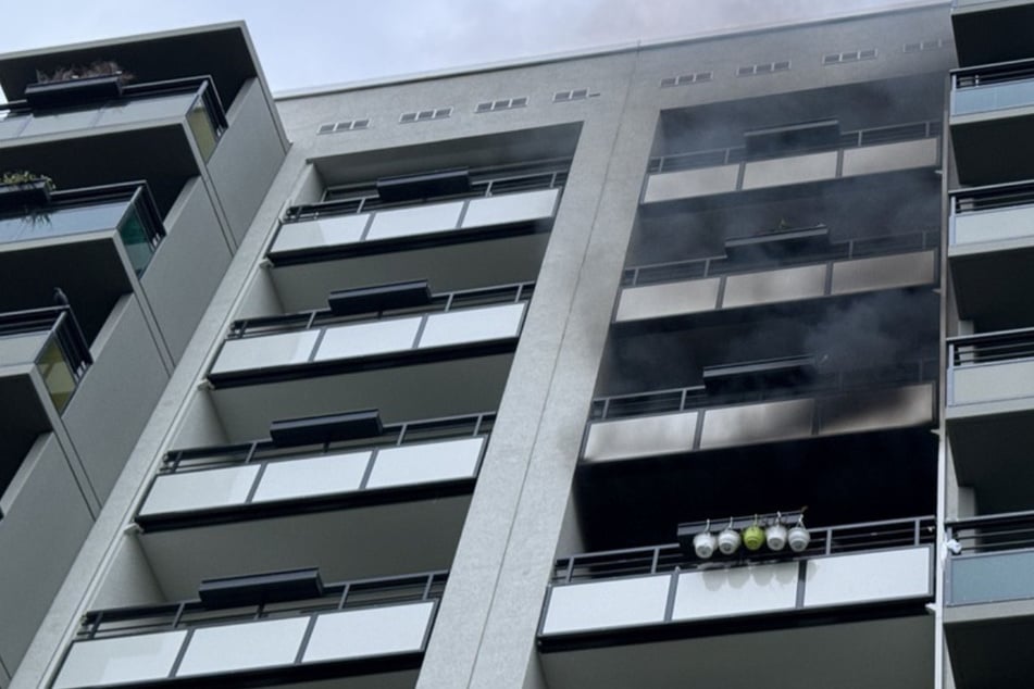 Dresden: Feuer in Dresdner Hochhaus: Mann schwer verletzt, sieben Katzenbabys gerettet