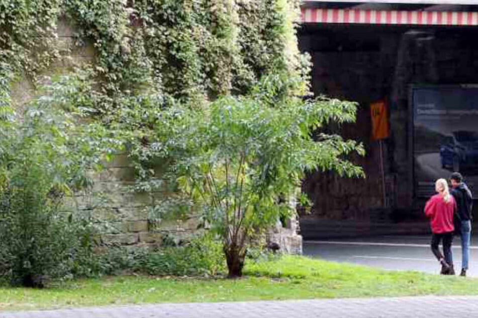 Die Tat ereignete sich in einem Gebüsch hinter der Eisenbahnbrücke.