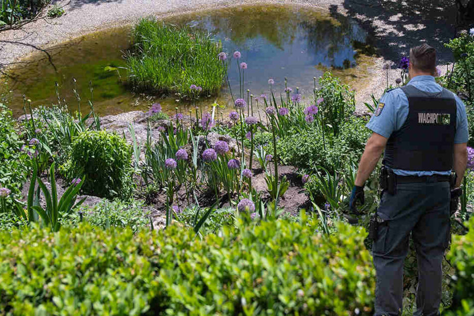 Bei Arbeiten an einem Teich ist ein 48-Jähriger ins Gewässer gestürzt (Symbolbild).