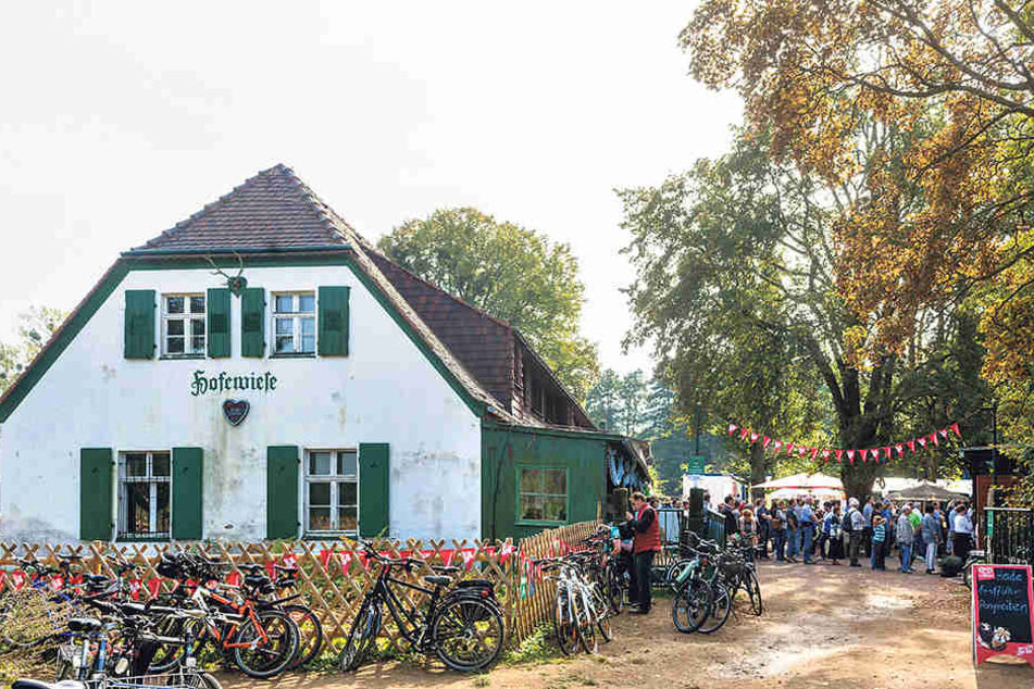 Noch läuft auf der Hofewiese eine
provisorischer Außenwirtschaft. Das Haupthaus ist noch nicht saniert.