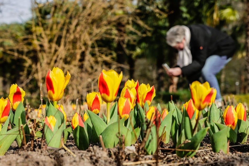 Den Menschen in NRW steht ein mildes Frühlingswochenende bevor. (Symbolbild)