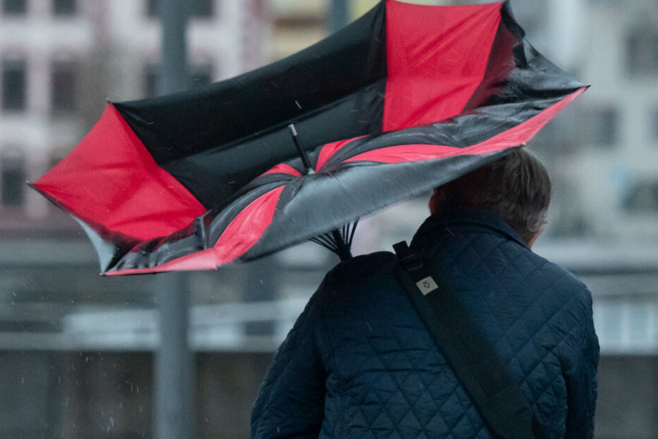 Der Regenschirm eines Spaziergängers ist am Phoenix-See in Dortmund wegen einer Windböe umgeklappt.
