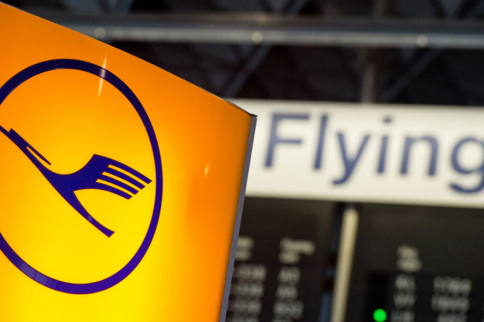 Ein Streik der Flugbegleiter könnte zu erheblichen Flug-Ausfällen bei der Lufthansa führen (Archivbild).