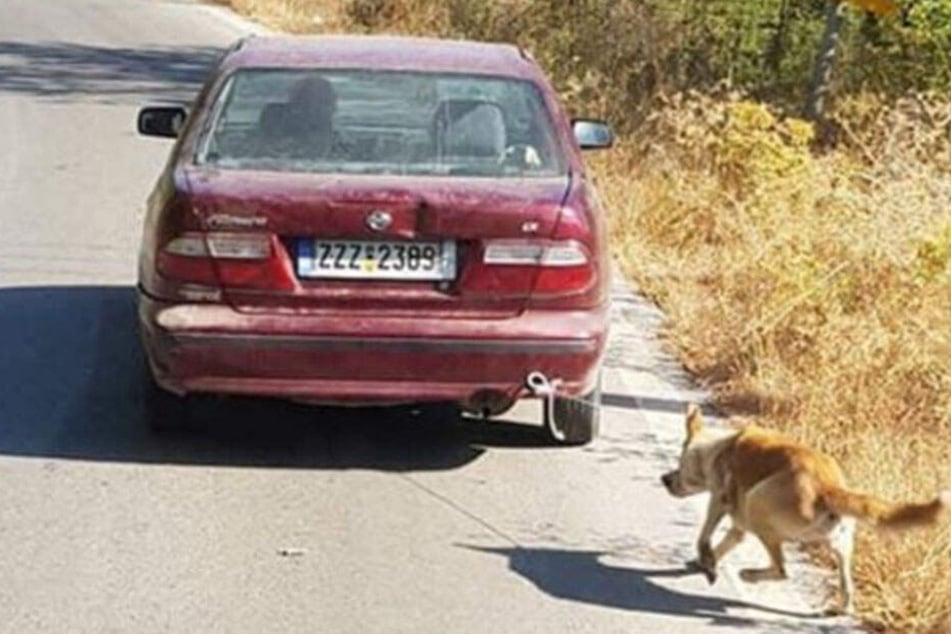Man sieht, wie der arme Hund versucht, hinter dem Auto herzukommen.