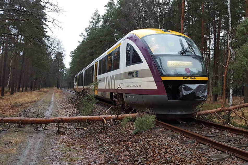 Immer wieder machten der Städtebahn umgefallene Bäume auf Gleisen zu schaffen. Die Deutsche Bahn pflege die Trassen nicht, so der Vorwurf seit Jahren.