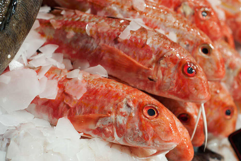 Der Fisch aus Vietnam ist mit Algentoxinen verseucht.