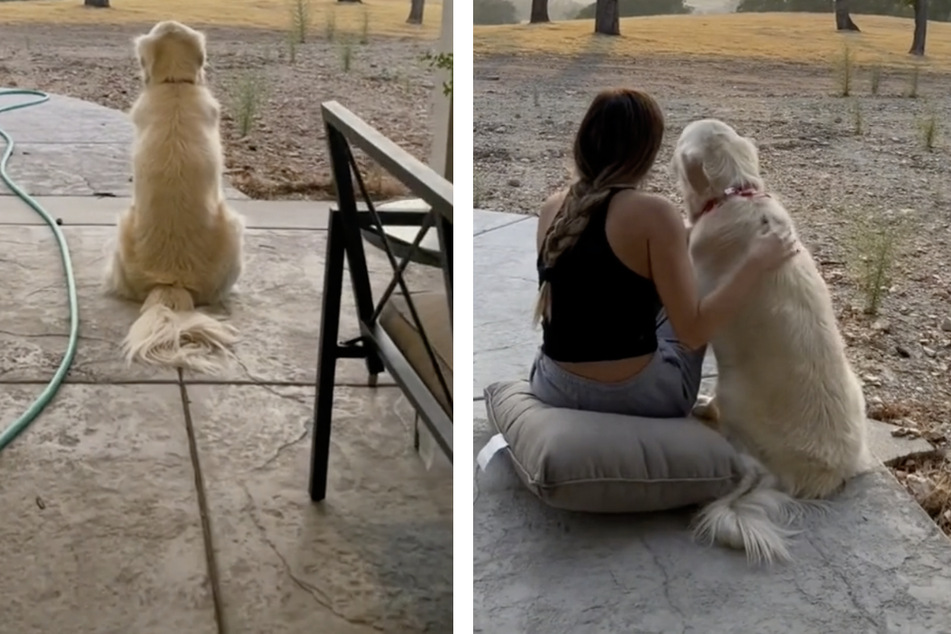 So süß: Katelyn und ihr Golden Retriever genießen den Sonnenuntergang in Texas.