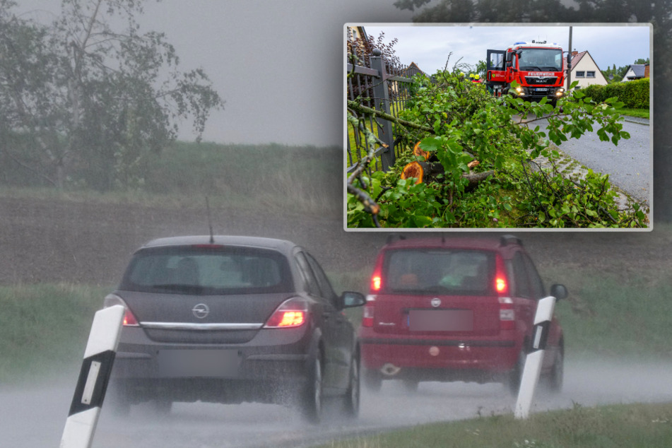Unwetter fegt über Westsachsen: Polizei warnt Autofahrer, Baum stürzt um