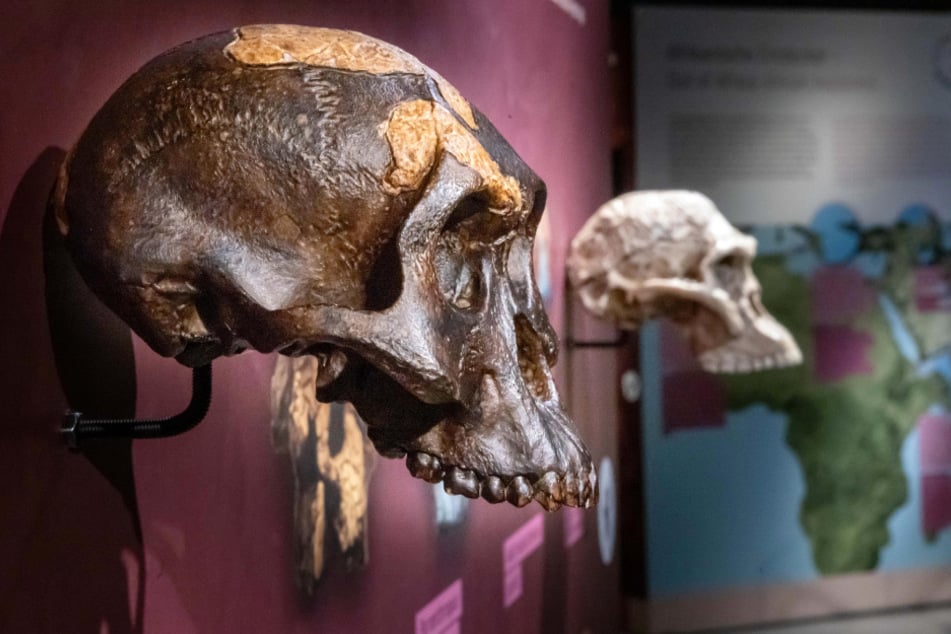 Die neue Ausstellung im smac beschäftigt sich mit Afrika.