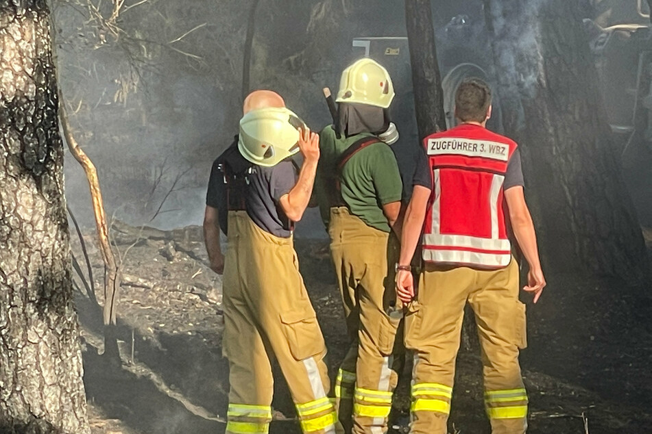 Bis zu fünf Hektar Wald in Flammen: Brand in Rheinsberg ist unter Kontrolle