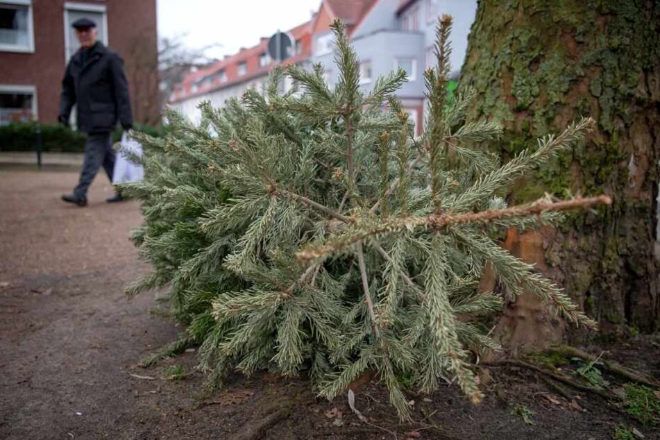 Ein ausgedienter Weihnachtsbaum steht nach den Festtagen am Straßenrand.