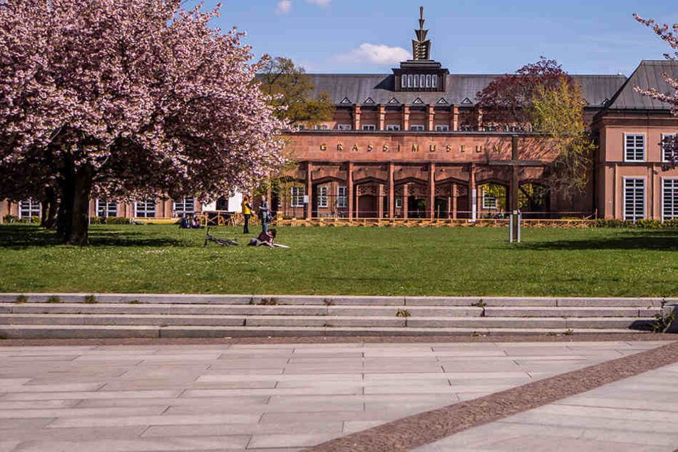 Viele Besucher, die ins Grassi Museum wollen, finden die Museumskasse nicht. (Archivbild)