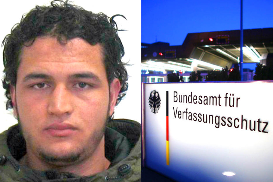 Der Bundes-Verfassungsschutz hatte offenbar einen V-Mann im Umfeld von Anis Amri.