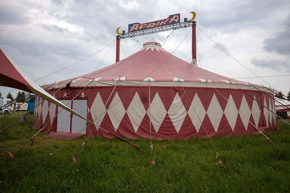 Afrika heißt der Zirkus, doch die Elefanten sind sämtlich indische.