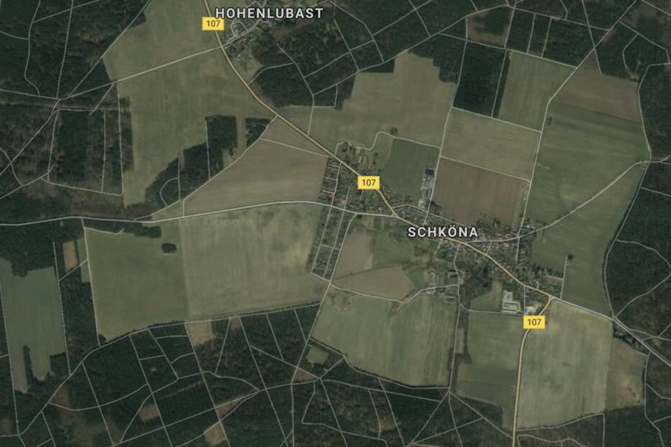 Das Tier war zwischen den Gemeinden Schmerz und Schköna aus einem Waldstück auf die Straße gelaufen und angefahren worden.