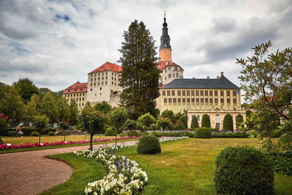 Der Garten im Schlosspark Weesenstein.