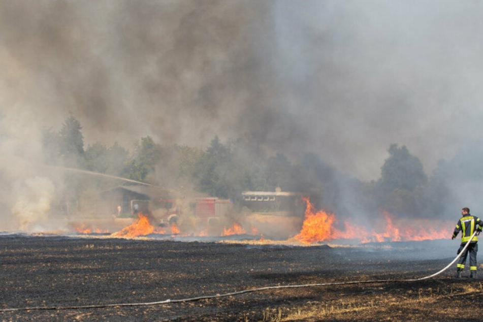 Feldbrand bei Neuss.