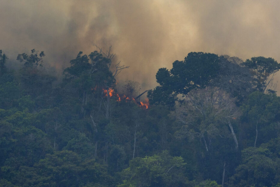 Feuer und Rauch, so schaut es momentan an sehr vielen Orten im Amazonas aus.
