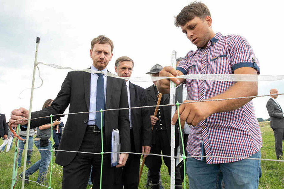 Der Schäfer zeigt dem Ministerpräsidenten, dass es auch mit den vielen verschiedenen Schutzmaßnahmen Probleme gibt.