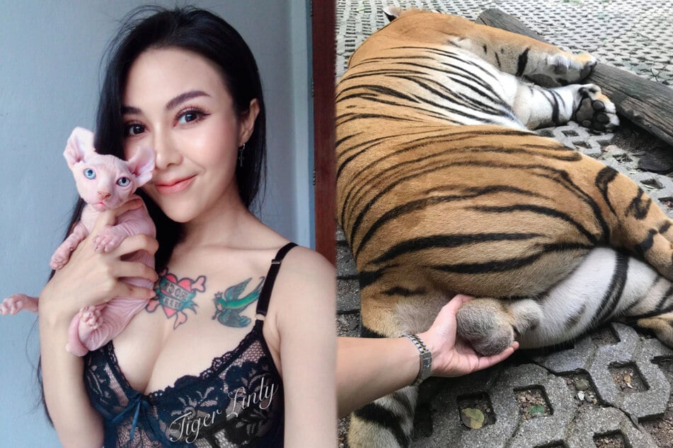 The model Waraschaya Akkarachaiyapas obviously likes to coddle cats.