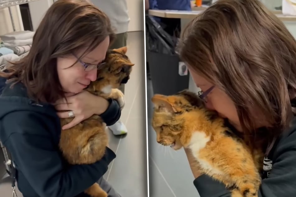 Ihre Besitzerin war zu Tränen gerührt, als sie Katherine nach acht langen Jahren wieder in die Arme schließen konnte.