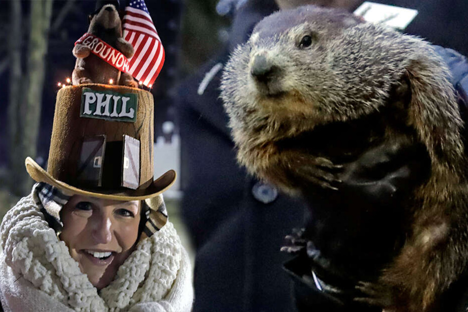 Lisa Gibson aus Pittsburgh kommt zum 133. Murmeltiertag. Wie jedes Jahr am 2. Februar wird der Nager Phil aus seinem Bau in einem Wäldchen bei Punxsutawney gezogen.