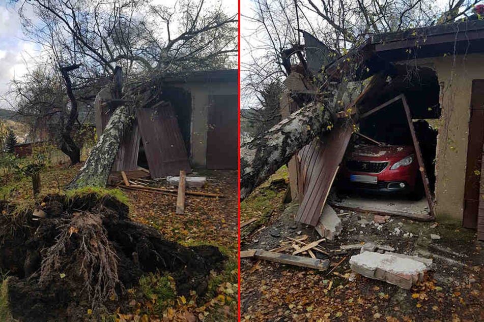 In Schönheide ist eine Birke auf eine Garage gestürzt und hat große Schäden angerichtet.
