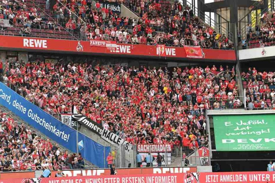 Nach dem Spiel gegen Köln wurde ein Fanbus von Union Berlin attackiert.