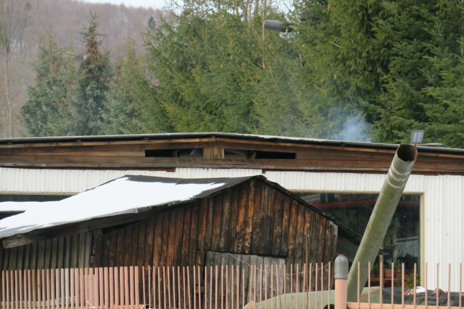Der Brand in der Lagerhalle war erst im Entstehen. Der Besitzer löschte ihn mit Schnee.