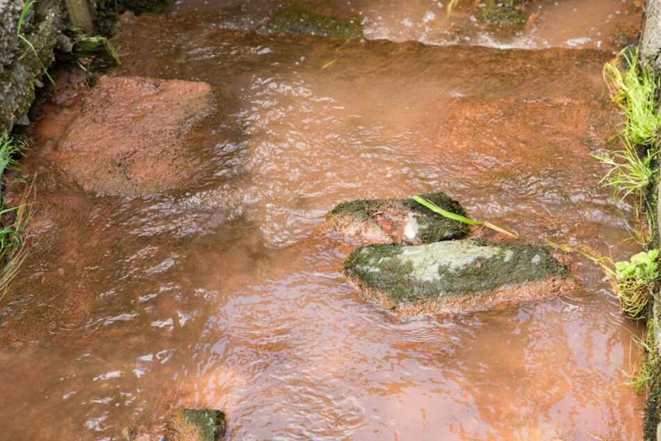 Das Wasser des Bachs war am Samstag plötzlich rostrot verfärbt.