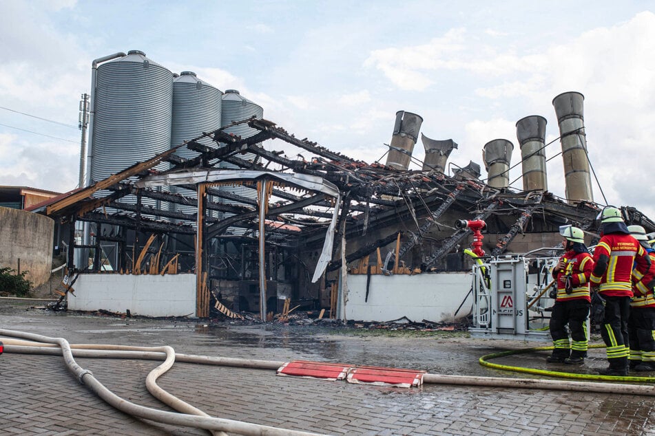 Einer der Ställe wurde bei dem Großbrand komplett zerstört.