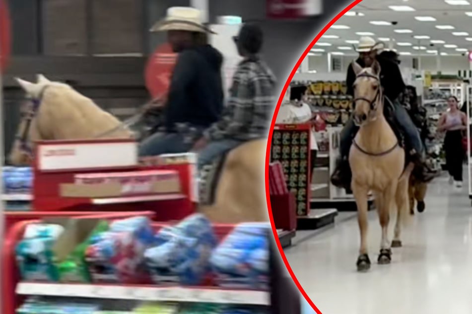 Tierischer Einkaufsbummel: Pferd trabt durch Supermarkt