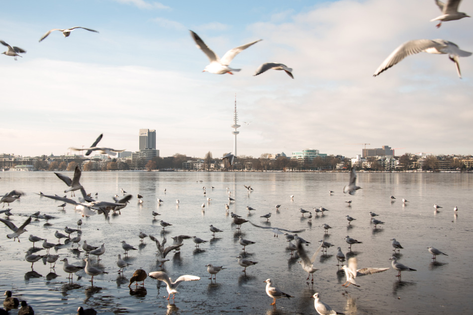 Die Zahlen der Corona-Infektionen in Hamburg nehmen ab.