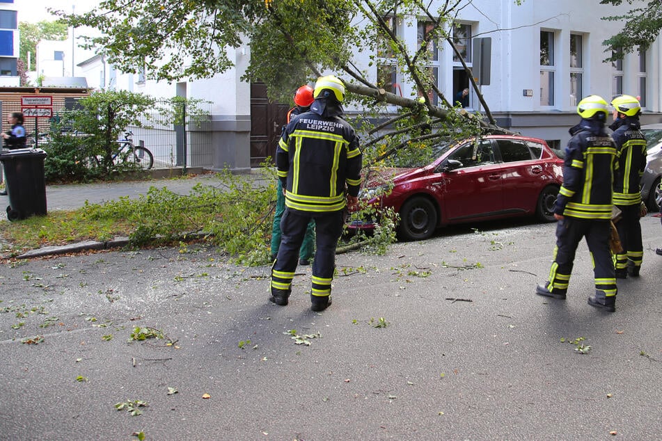 Leipzig: Herbststurm fegt über Leipzig hinweg: Feuerwehr im Dauereinsatz