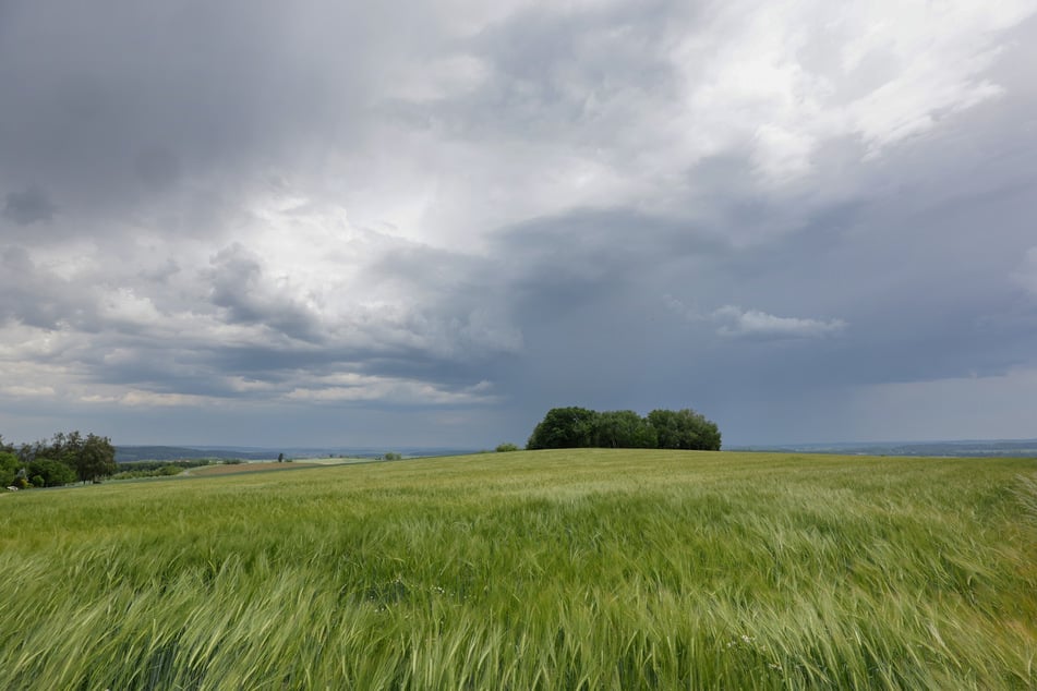 Am Dienstag kann es noch bis zu 35 Grad warm werden, im Laufe der Woche wird es zunehmend wechselhaft.