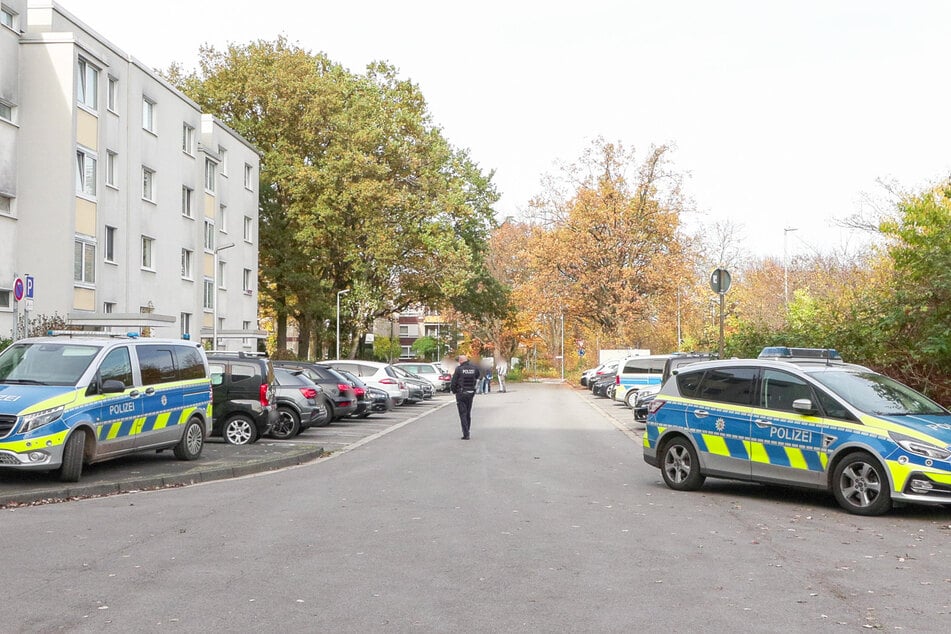 Leiche in Messi-Wohnung entdeckt: Jetzt steht die Todesursache fest