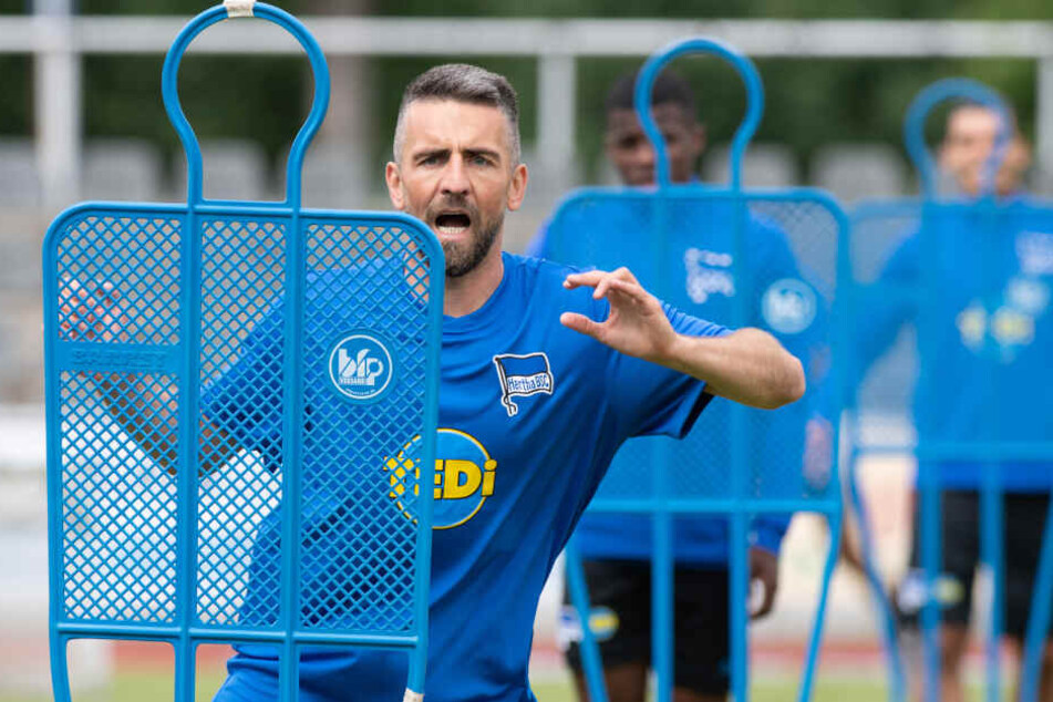 Traf zum zwischenzeitlichen 2:0 gegen Fenerbahce: Kapitän Vedad Ibisevic.
