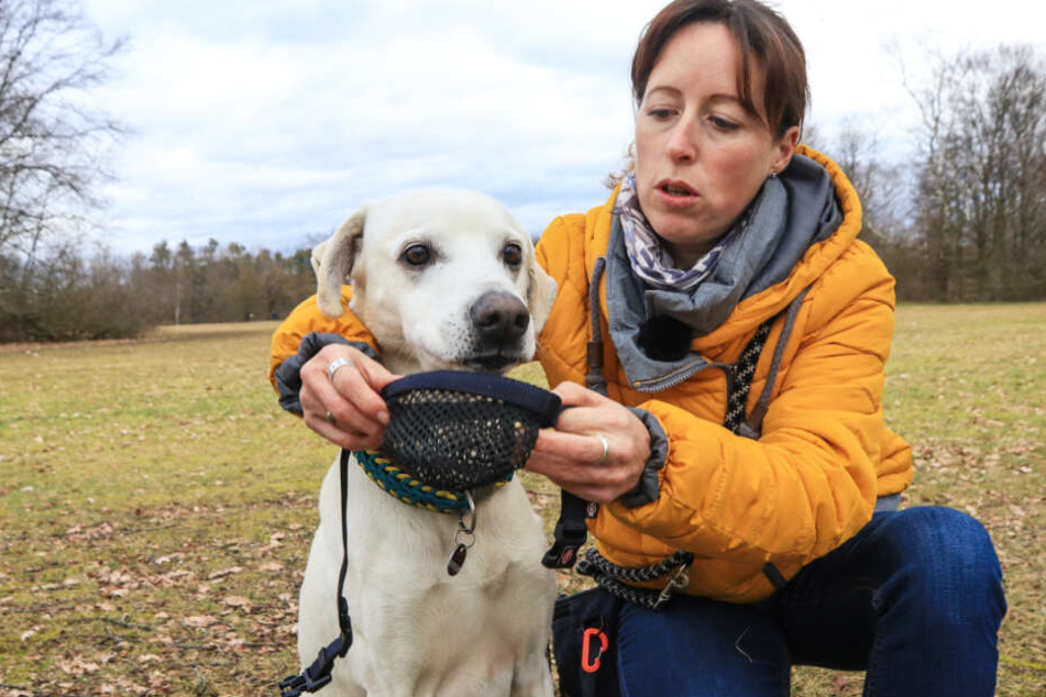 Nadine S. aus Nürnberg hat große Angst um ihren geliebten Hund Camino.