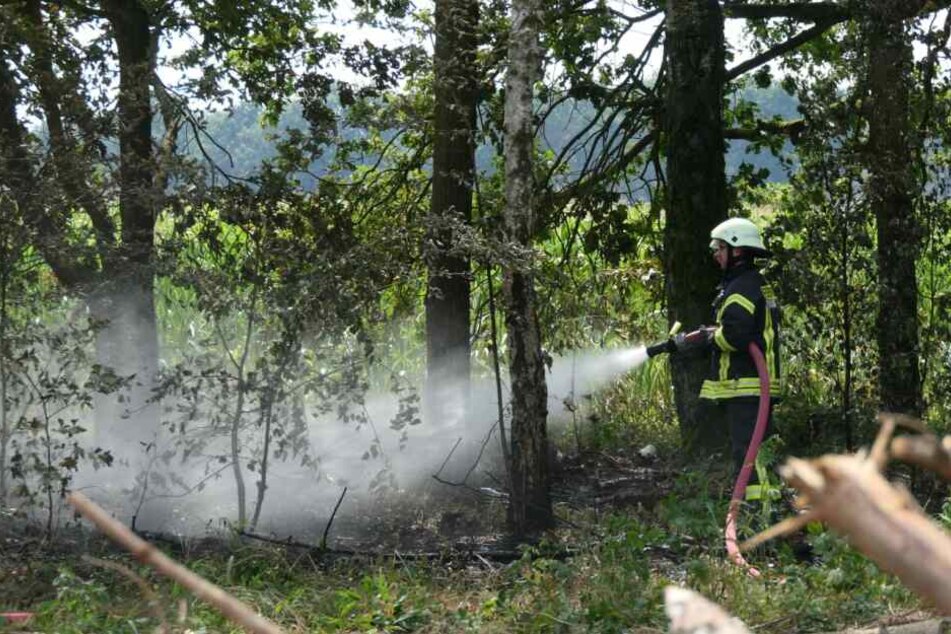 In einem Waldstück bei Waldsteinberg ist es am Sonntag zu einem Brand gekommen.