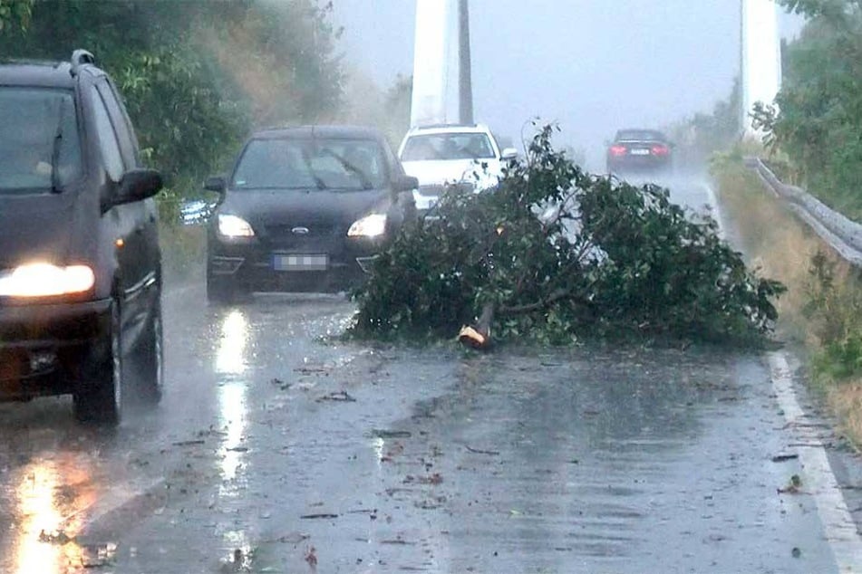 Ein großer Ast liegt nach einem Starkregen und Sturm auf einer Straße.