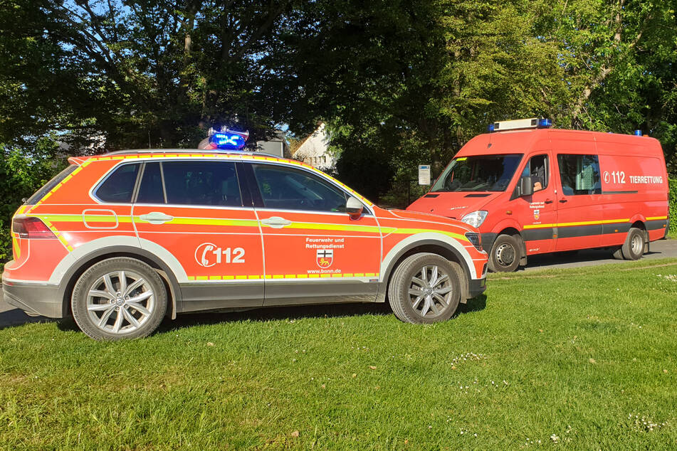 Rauchentwicklung auf Binnenschiff: Bonner Feuerwehr im Großeinsatz