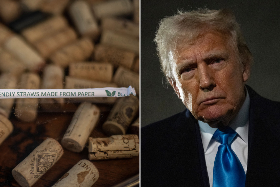 President Donald Trump on Friday raged against eco-friendly paper straws and pledged that the US would return to plastic ones.