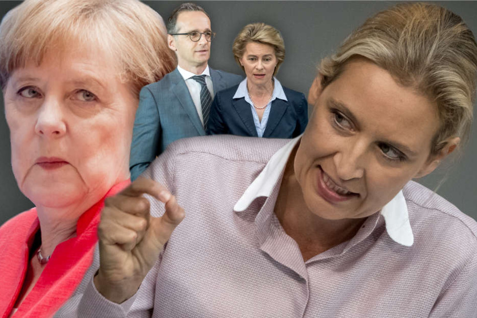 Alice Weidel teilt gegen Merkel und ihr Kabinett nach 100 Tagen GroKo aus. (Bildmontage)