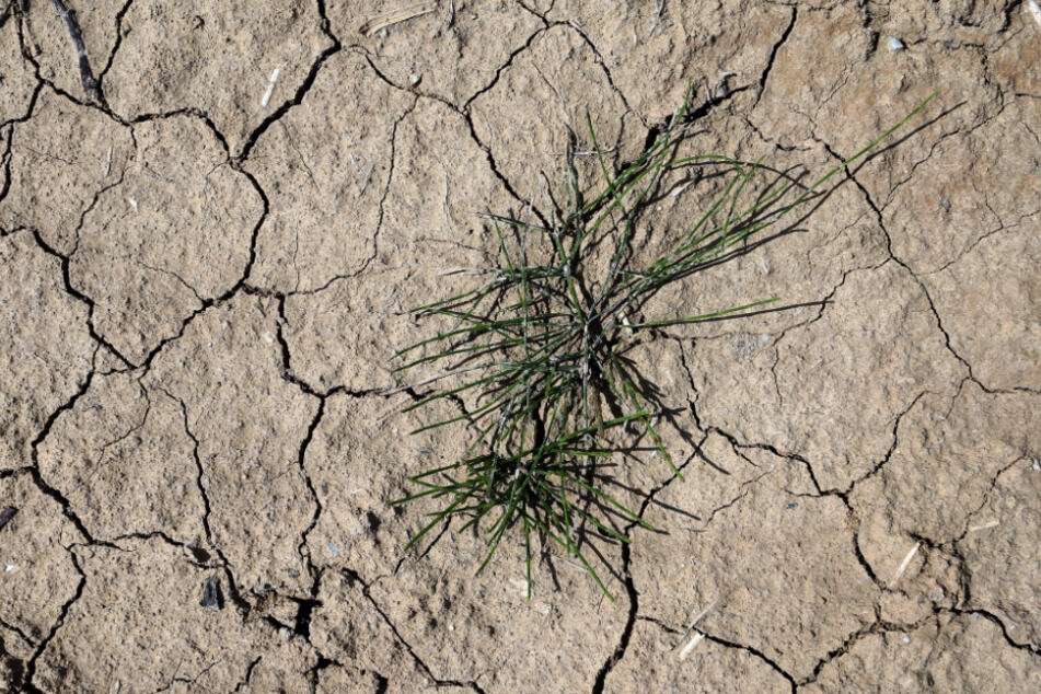 Bayern braucht wegen des Klimawandels eine neue Strategie gegen Dürre
