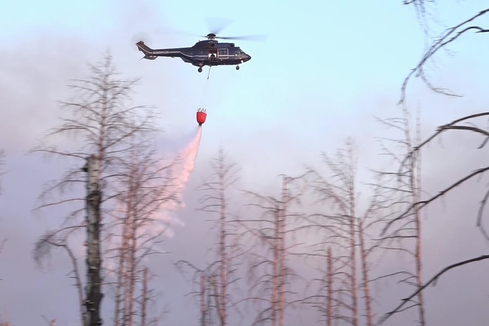 Über 150 Hektar: Tagelanger Waldbrand in Jüterbog breitet sich weiter aus