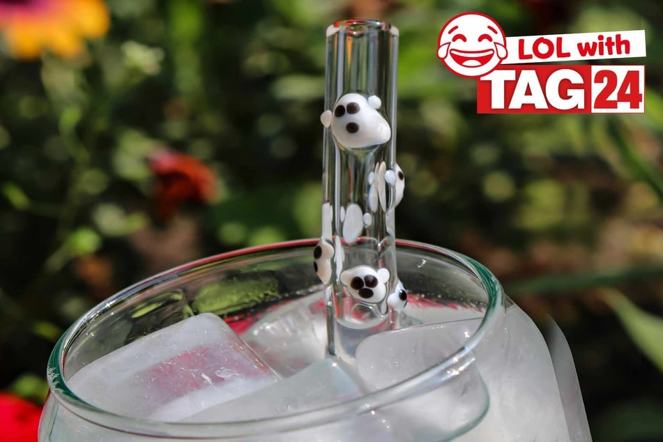 Joke of the Night for March 4, 2026: A silly to sip on