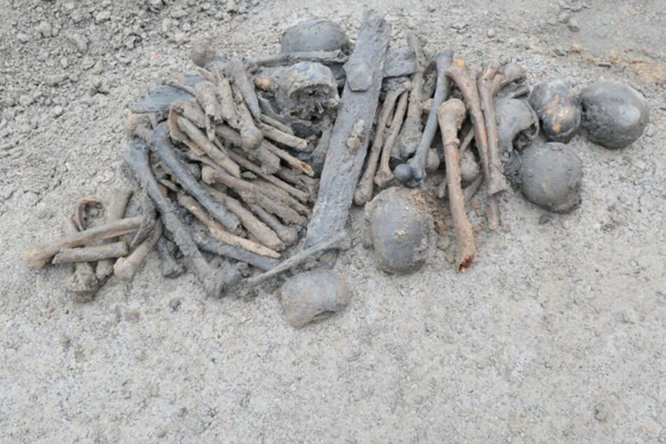 15 Schädel und viele Knochen gefunden: Polizei hat einen Verdacht