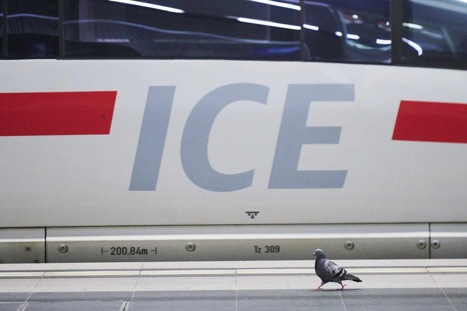 Ein ICE ist im Hamburger Hauptbahnhof auf einen stehenden Regionalzug aufgefahren. (Symbolbild)